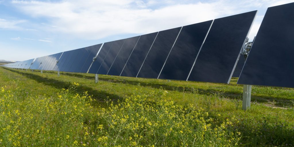 First Solar Panels