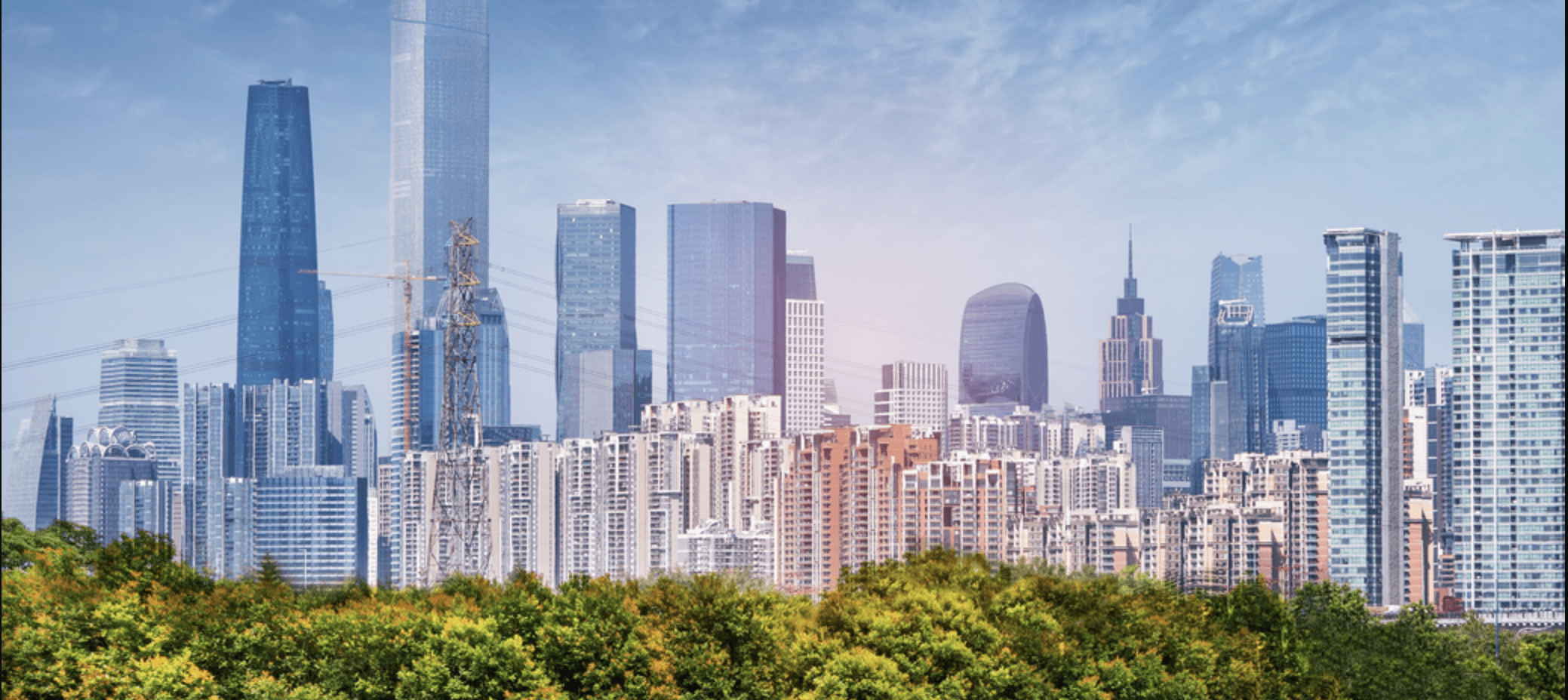 City Skyline